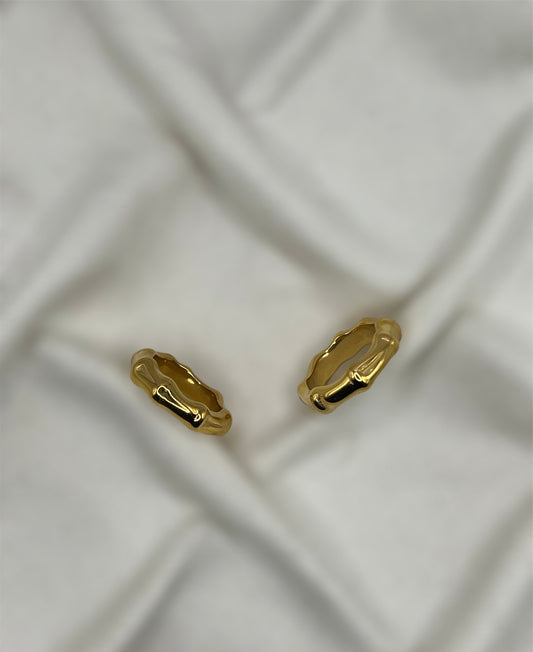 Evin Ring