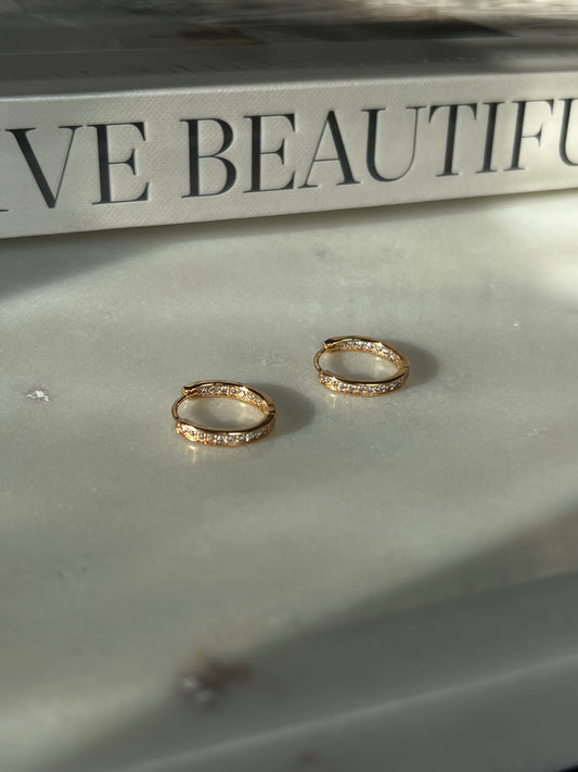 Diana Hoops