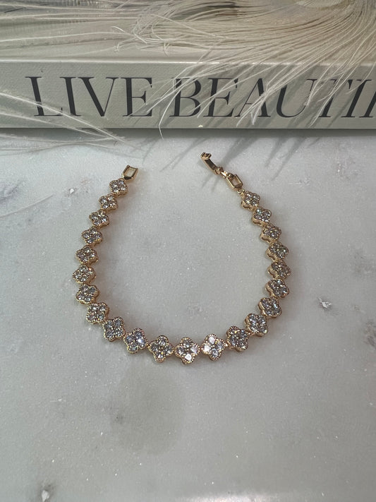 Cleef Dream
